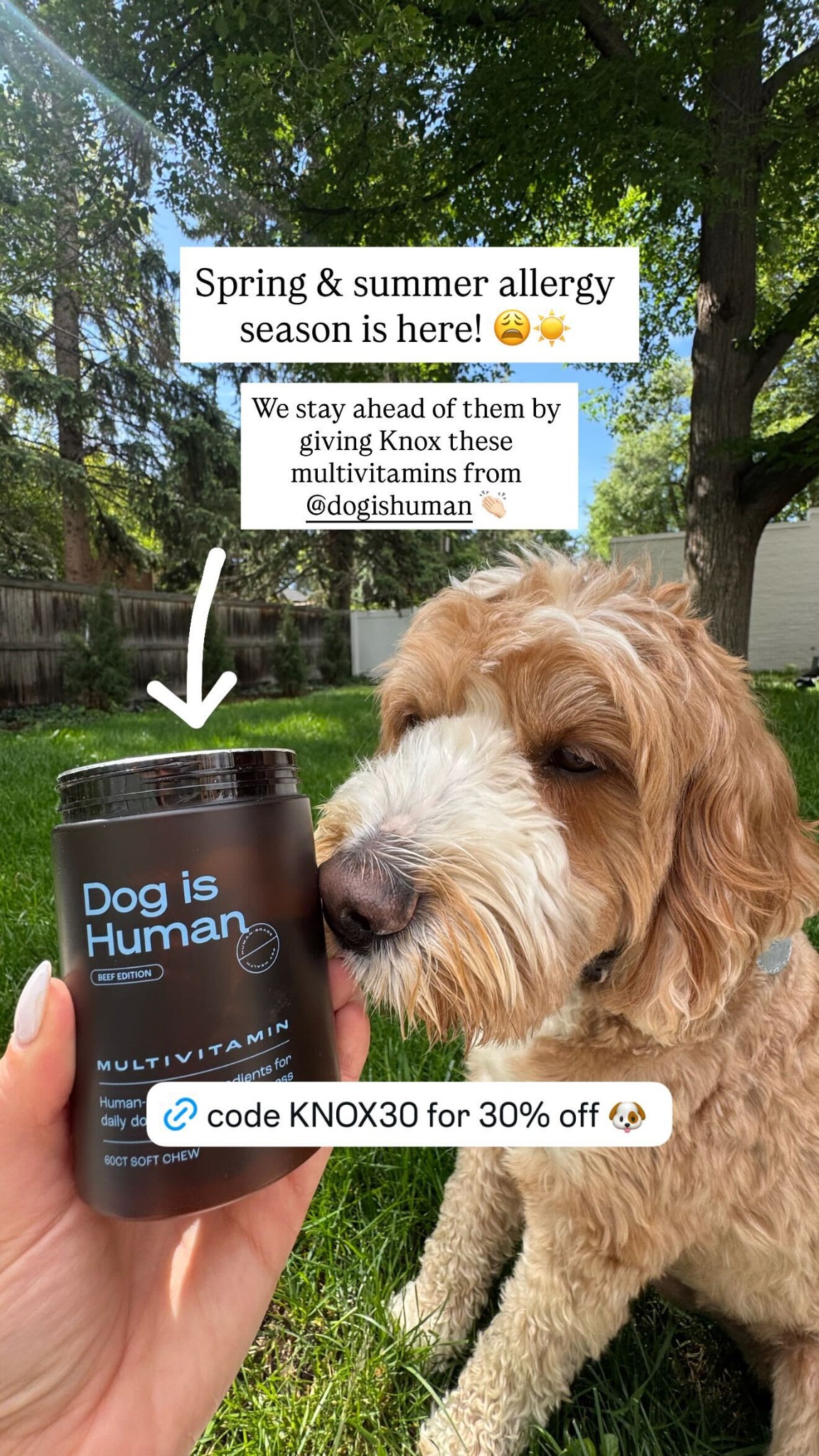 Dog is Human Facebook ad