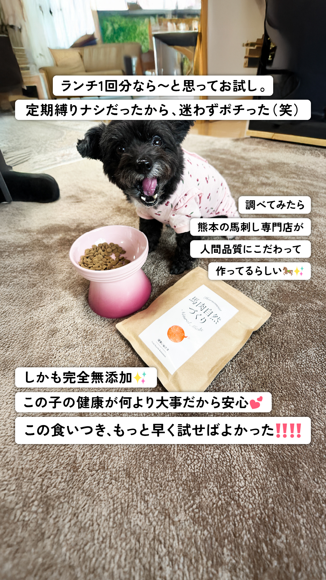 健康いぬ生活 Facebook ad