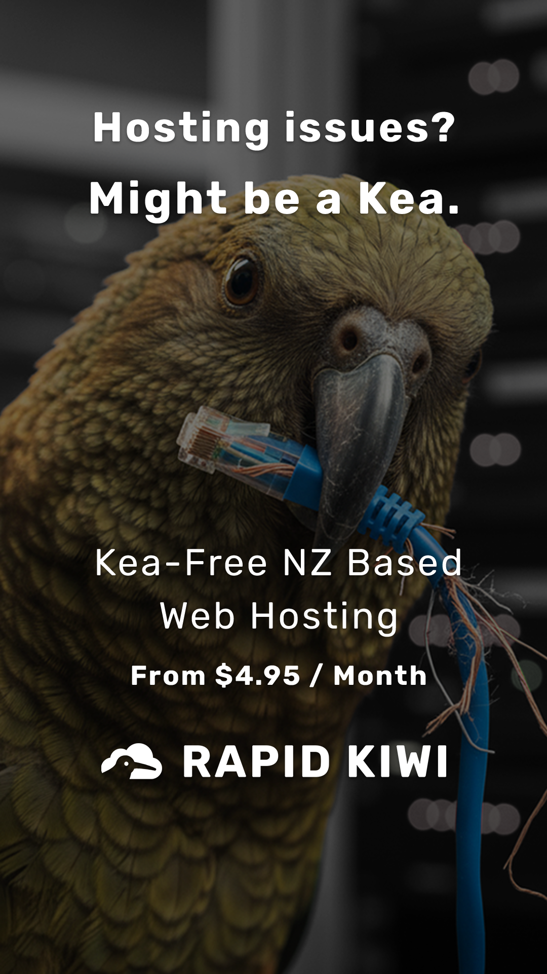 Rapid Kiwi Facebook ad