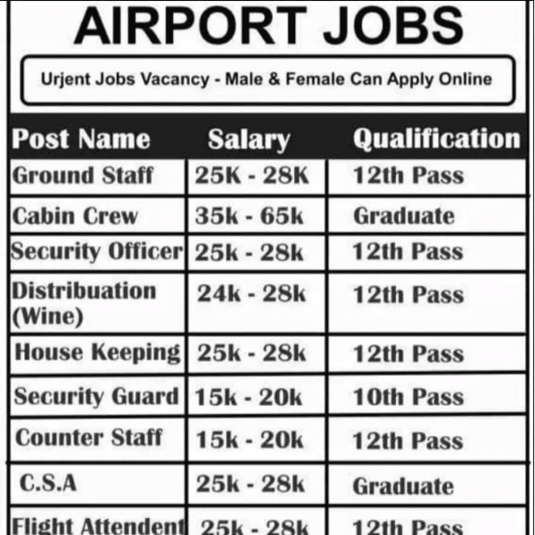 Highest Paying Airlines Career For 12th & Graduates Facebook ad