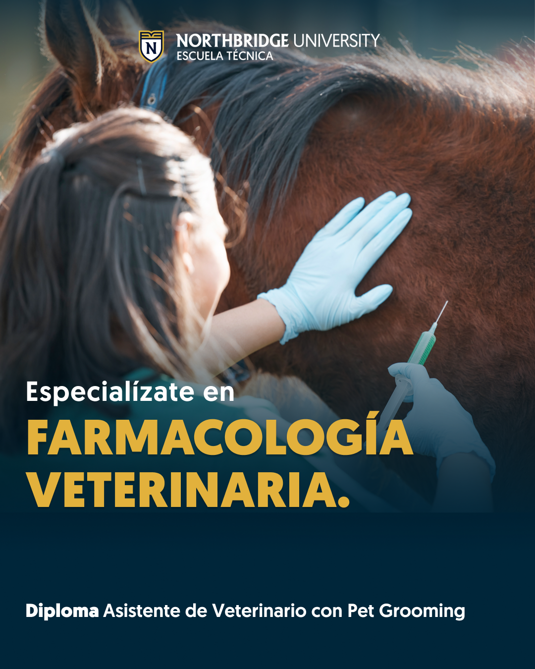 Northbridge University - Escuela Técnica Facebook ad