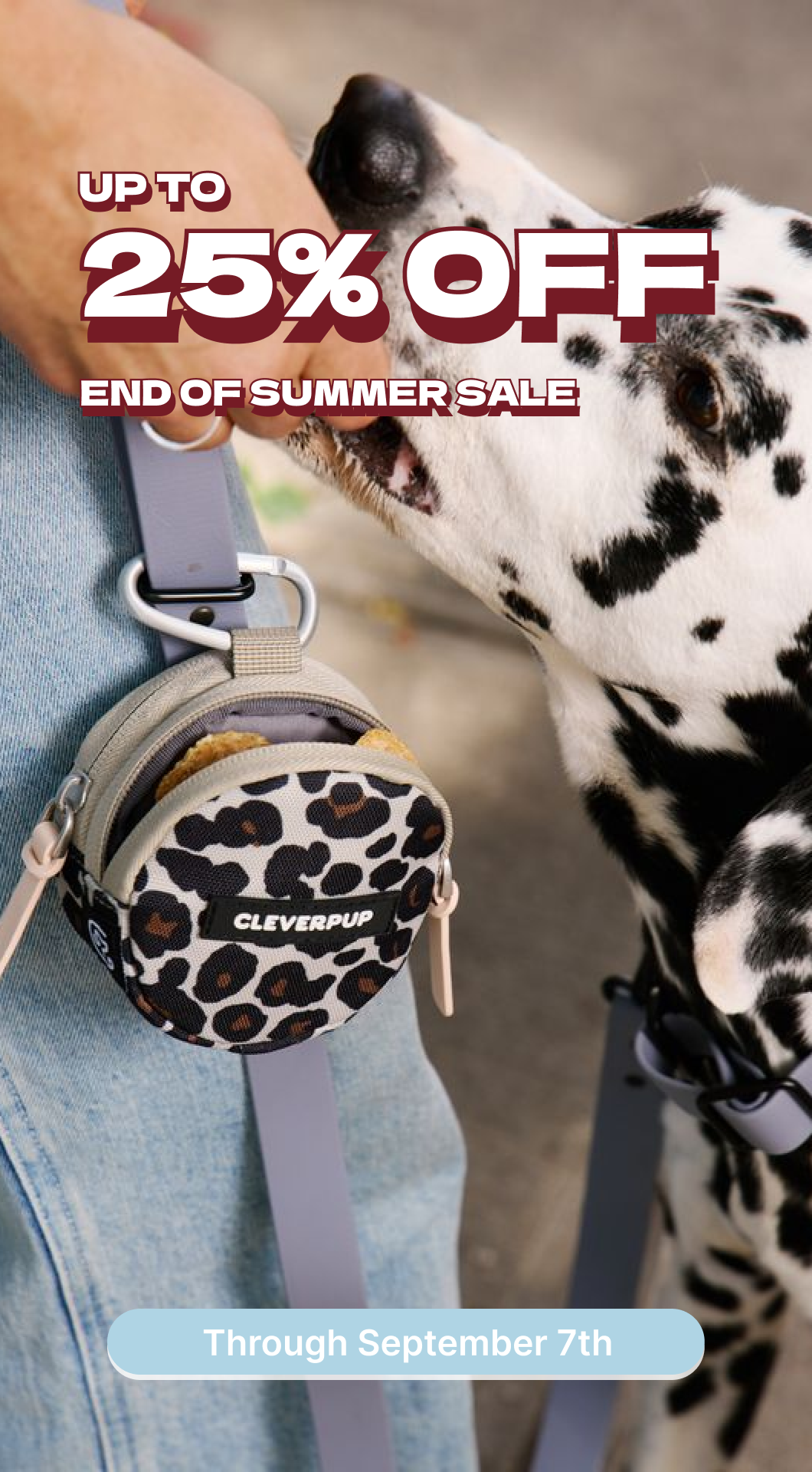 Cleverpup Facebook ad