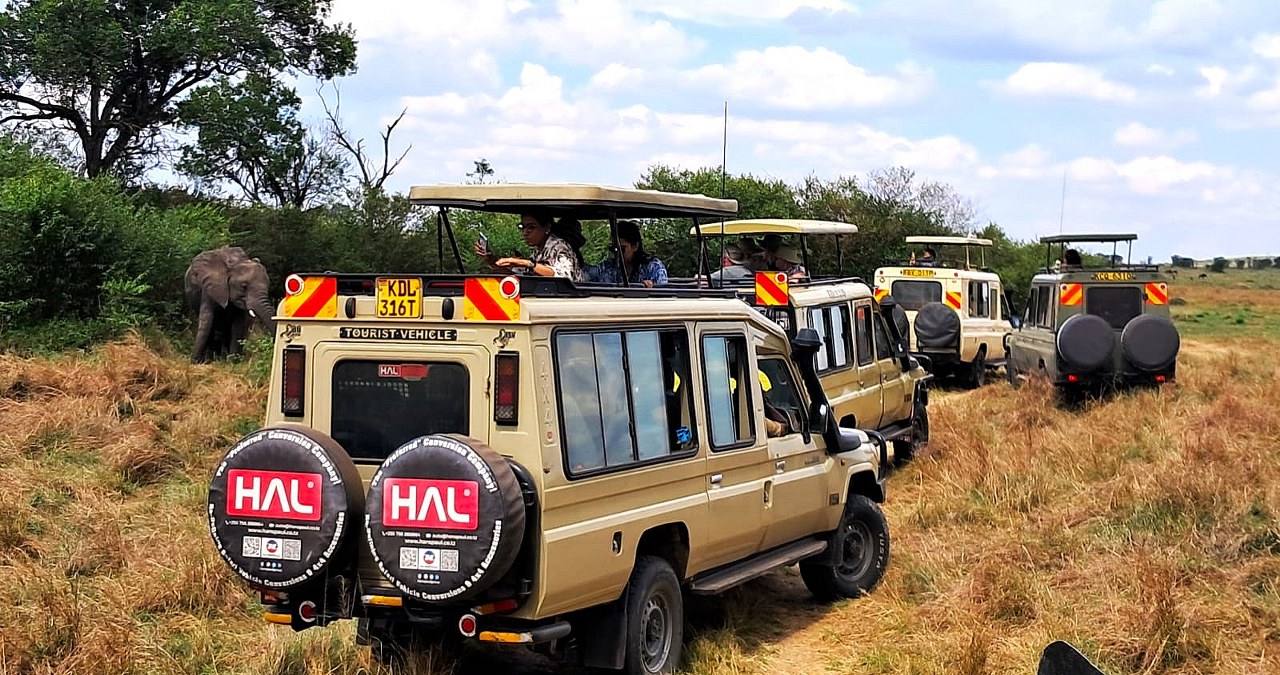Easy Budget Safaris Ltd Facebook ad: Kenya & Tanzania Safaris for Every Traveler