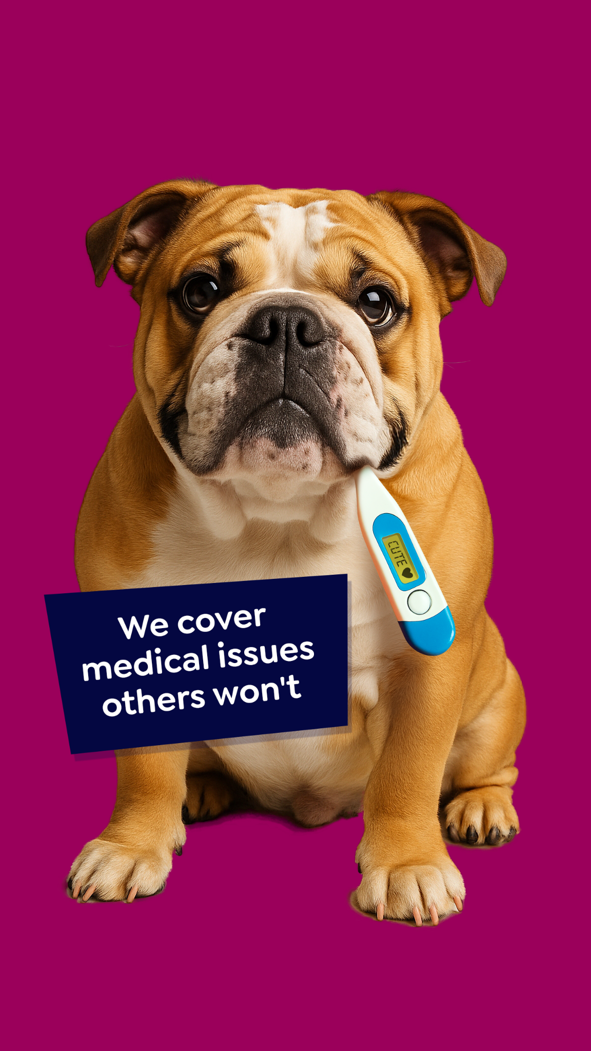 Petgevity UK Facebook ad