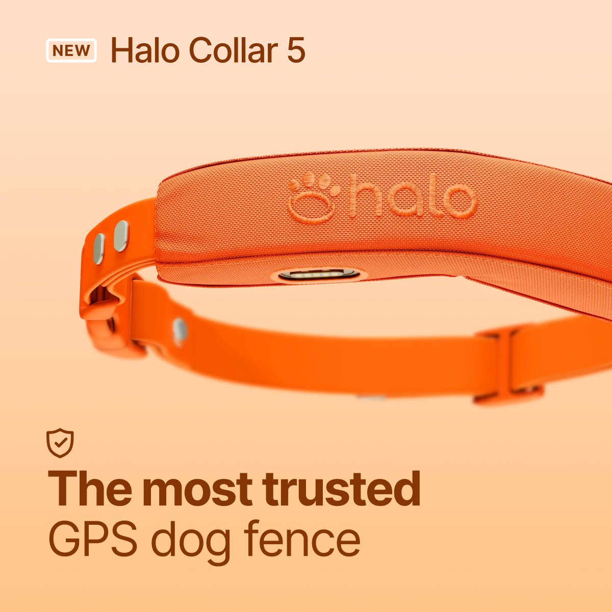 Halo Collar Facebook ad
