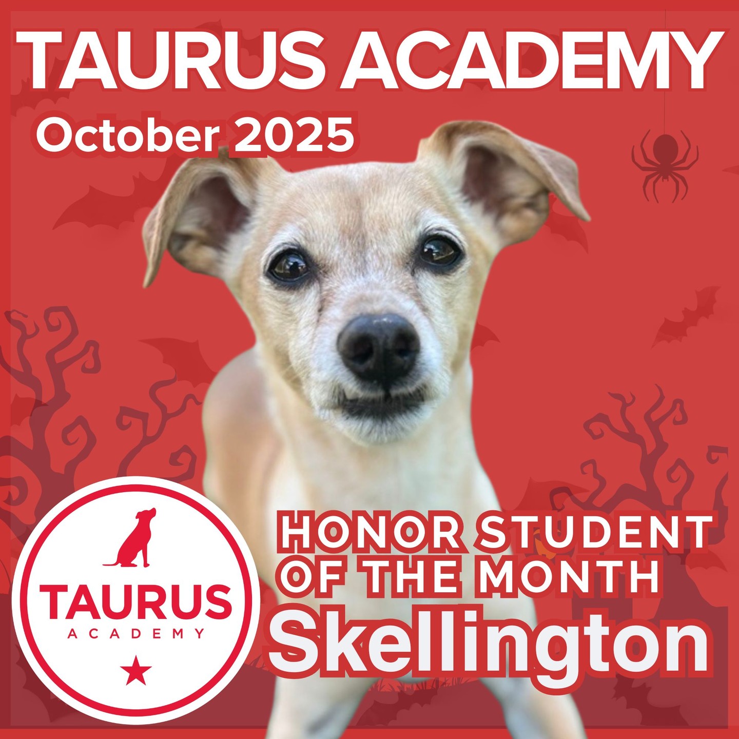 taurusdogs Facebook ad: Honor Student of the Month: Skellington