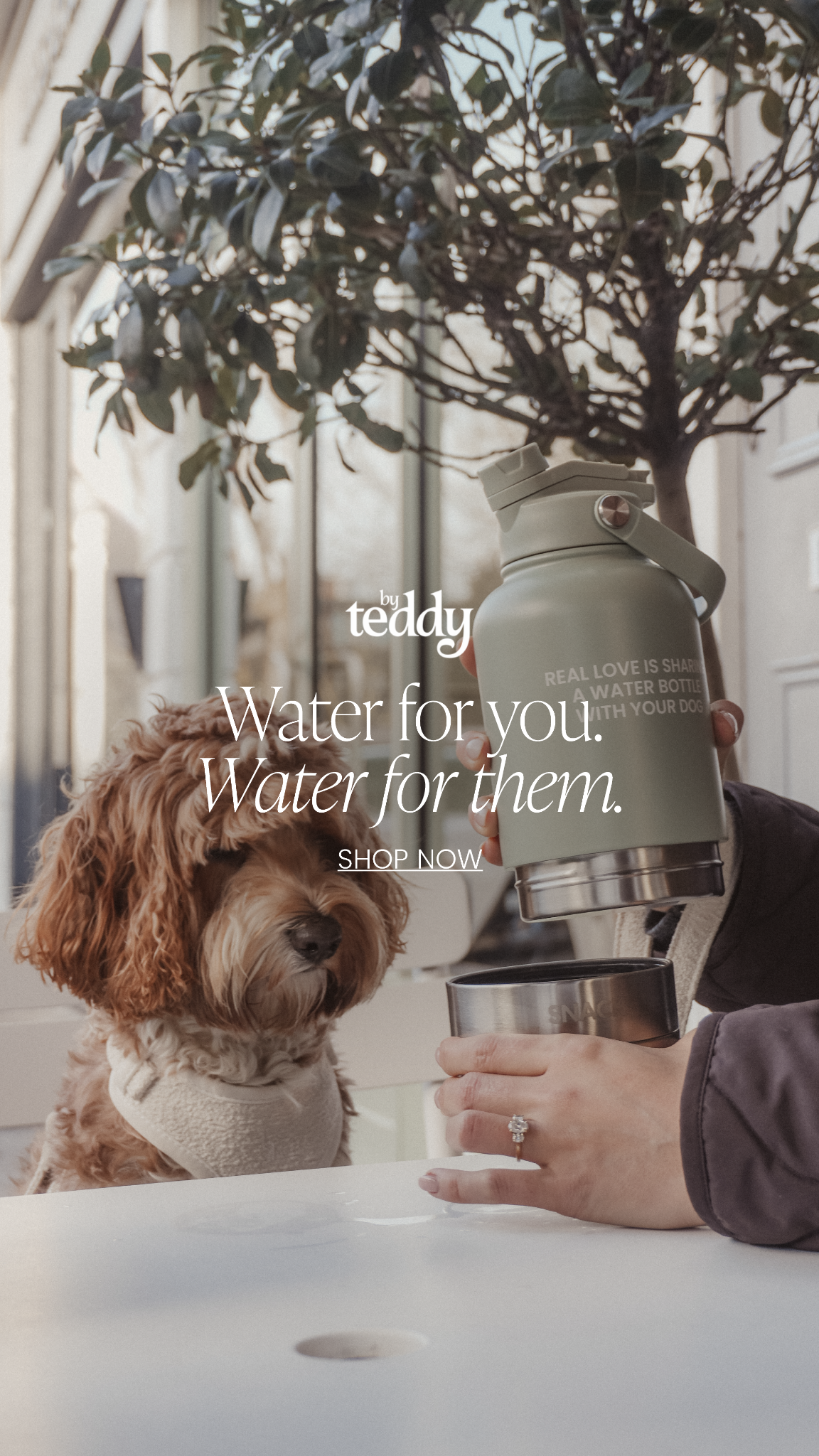 By Teddy Facebook ad