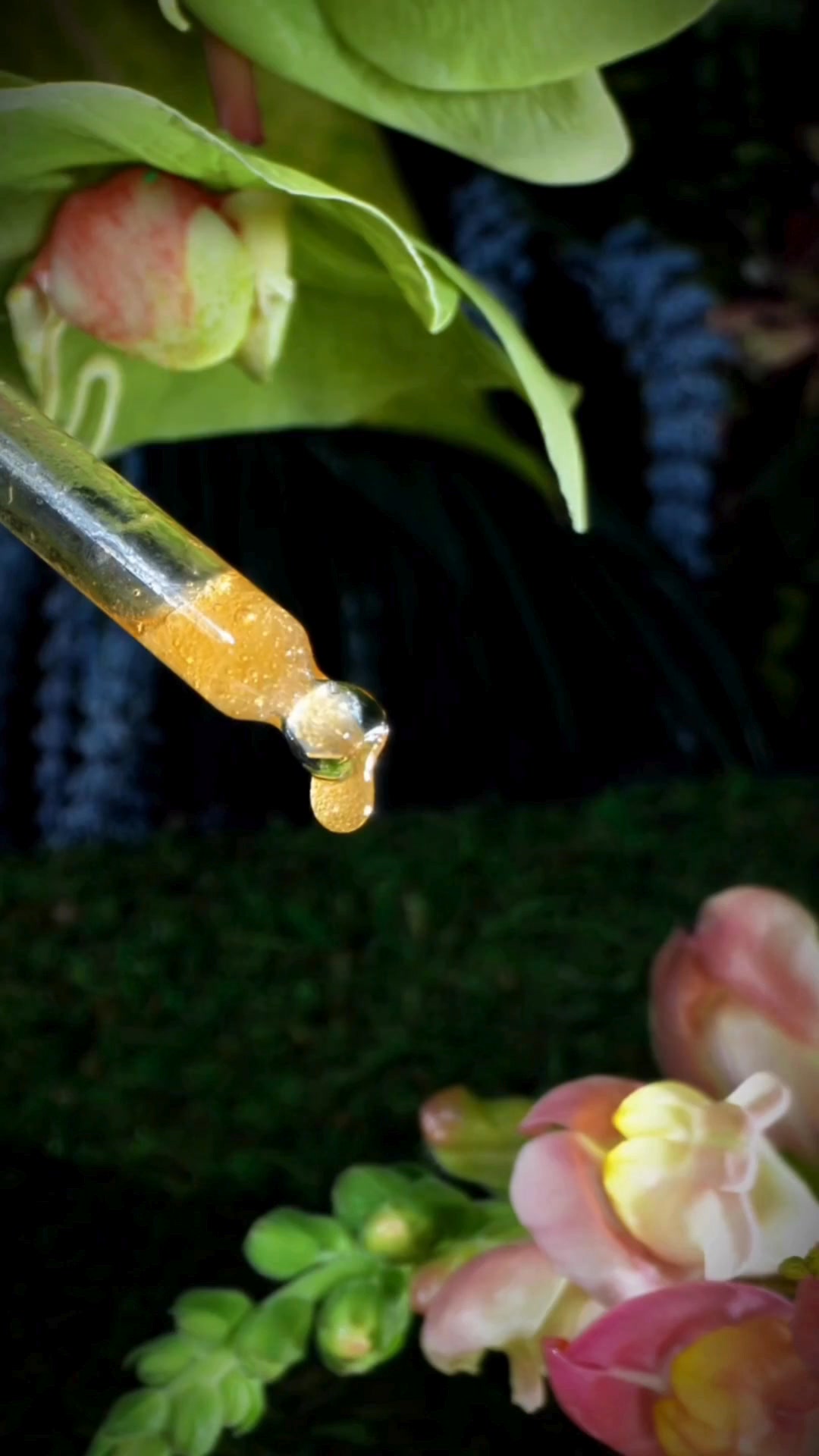 Organic Herbal Face Food Facebook ad: Heal Your Skin With Botanicals
