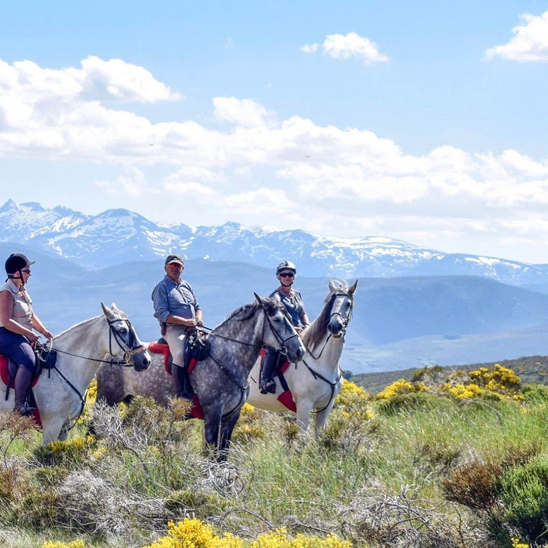 saddletravel.com Facebook ad: Ride all day, every day with a saddletravel.com…