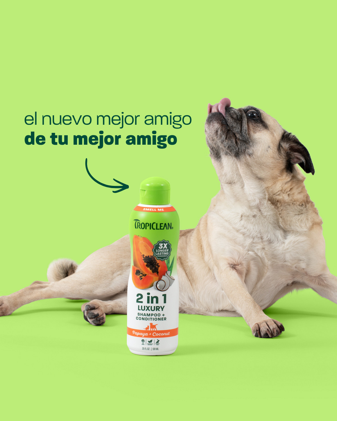 TropiClean Pet Products Facebook ad: TropiClean Shampoo y Acondicionador 2 en 1 Papaya para…