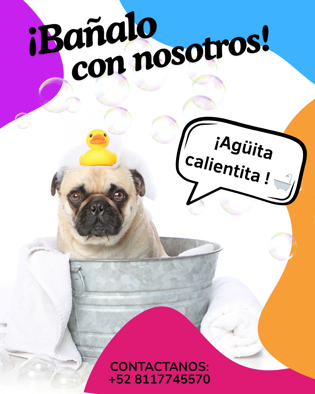 Veterinaria Malibú Facebook ad: En VETERINARIA MALIBÚ consentimos a tu perrito y…