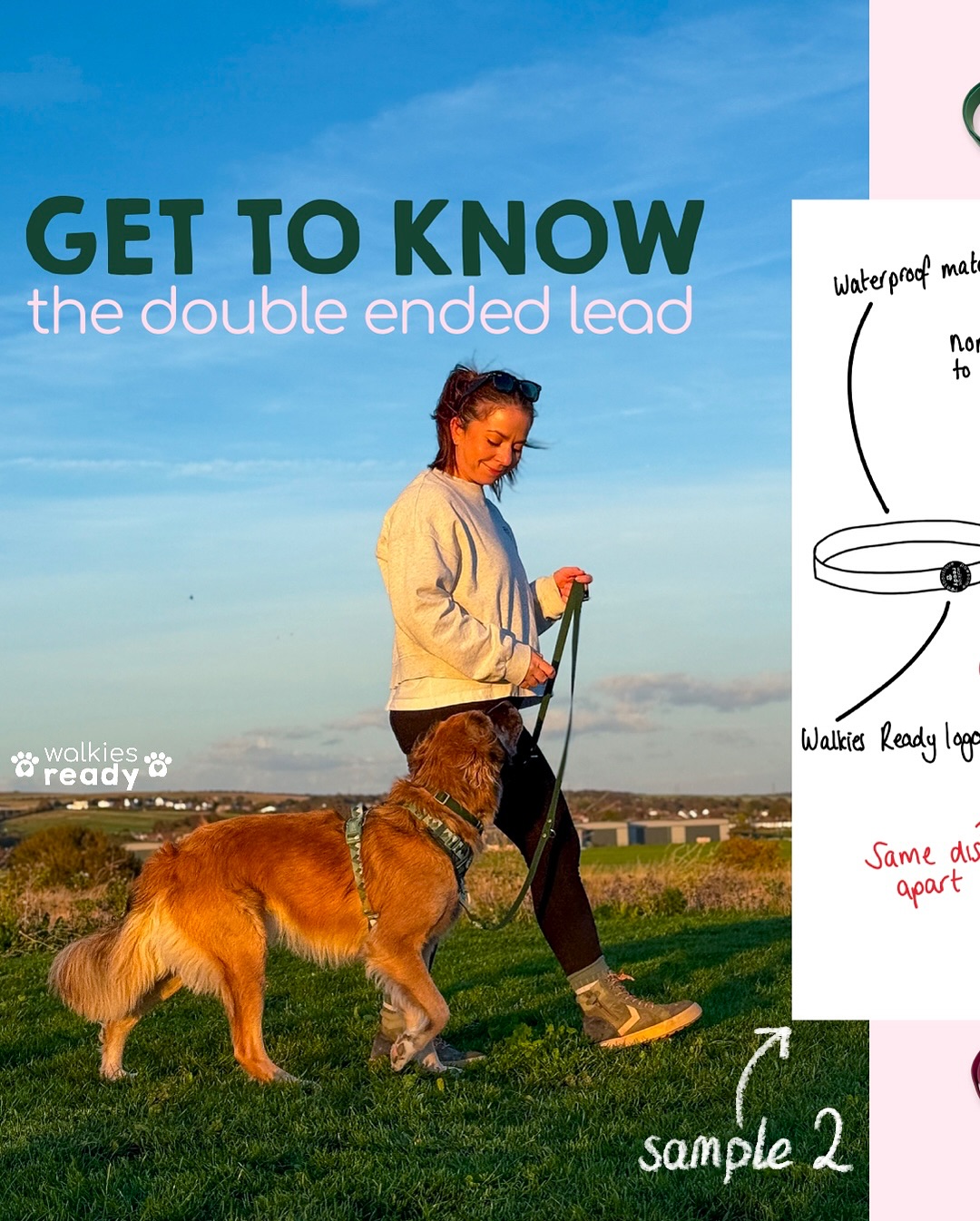Pawsome Paws Boutique Facebook ad: The lead that does it all