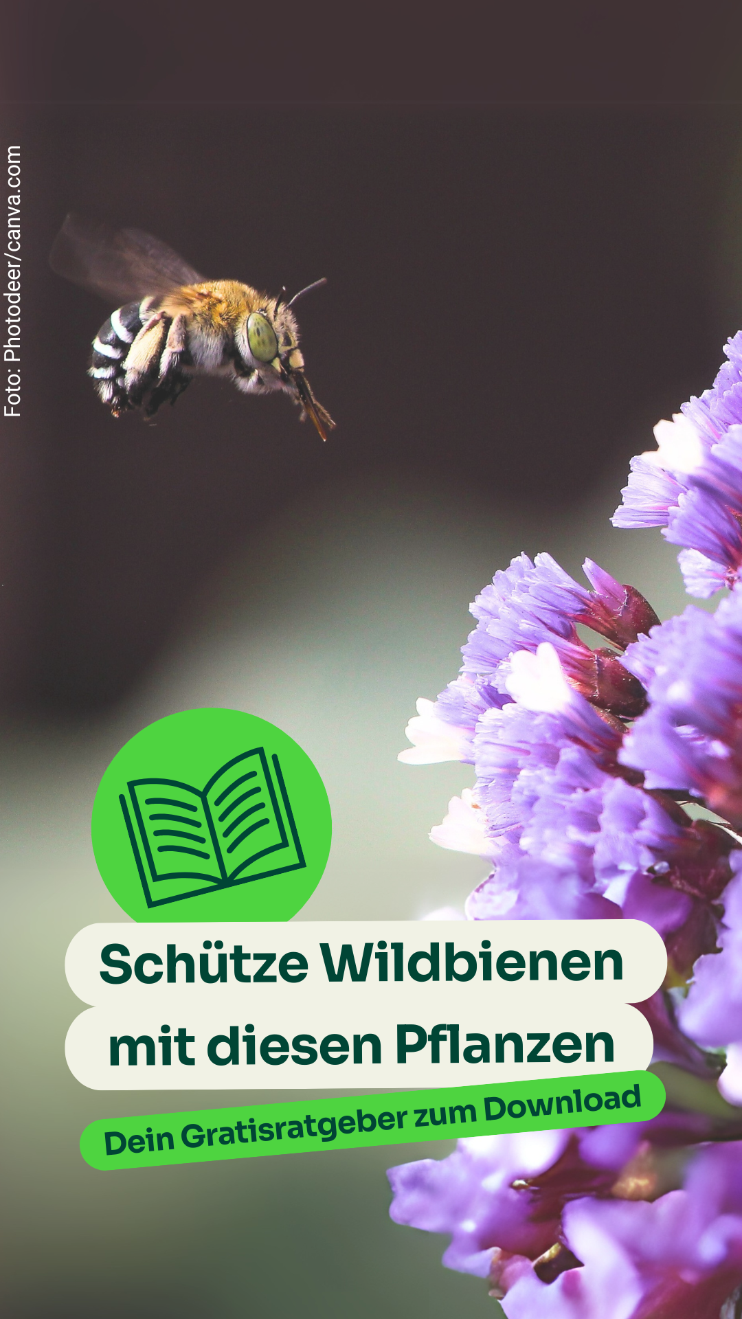 Bund für Umwelt und Naturschutz Deutschland Facebook ad