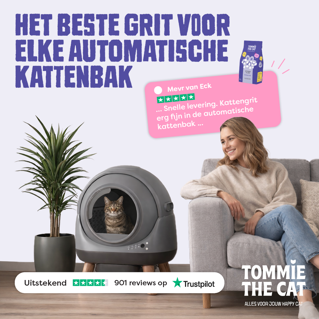 Tommie the Cat Facebook ad