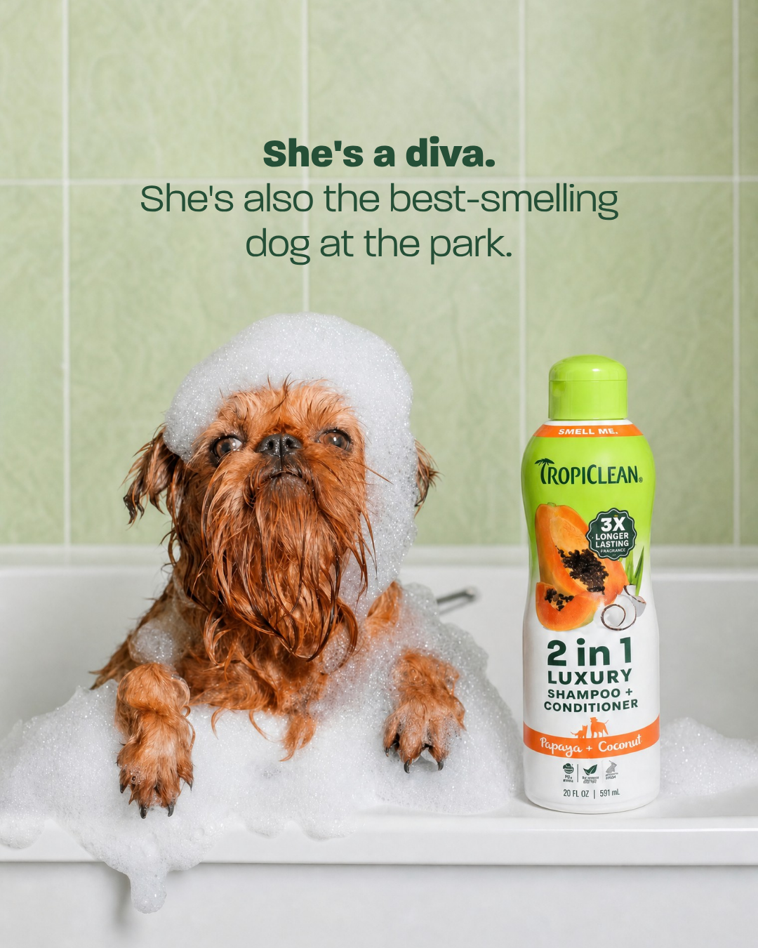 TropiClean Pet Products Facebook ad: My Dog Has Never Smelled Better