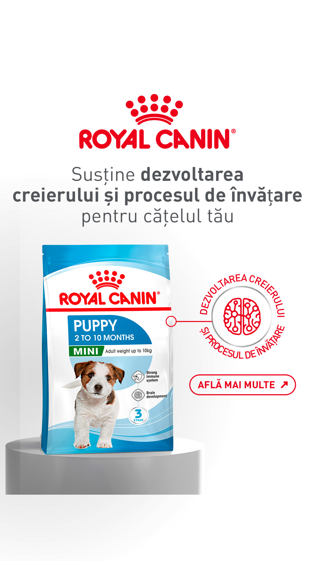 Royal Canin Facebook ad from Apr 24, 2026