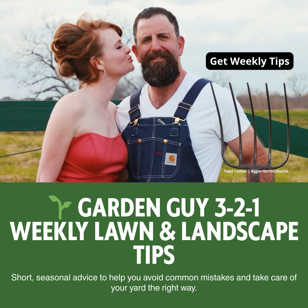 Garden Guy Facebook ad