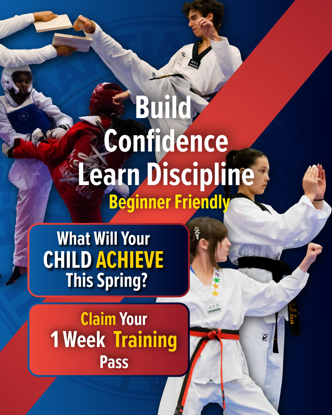 Lee's Martial Arts Academy- Crystal Lake Facebook ad