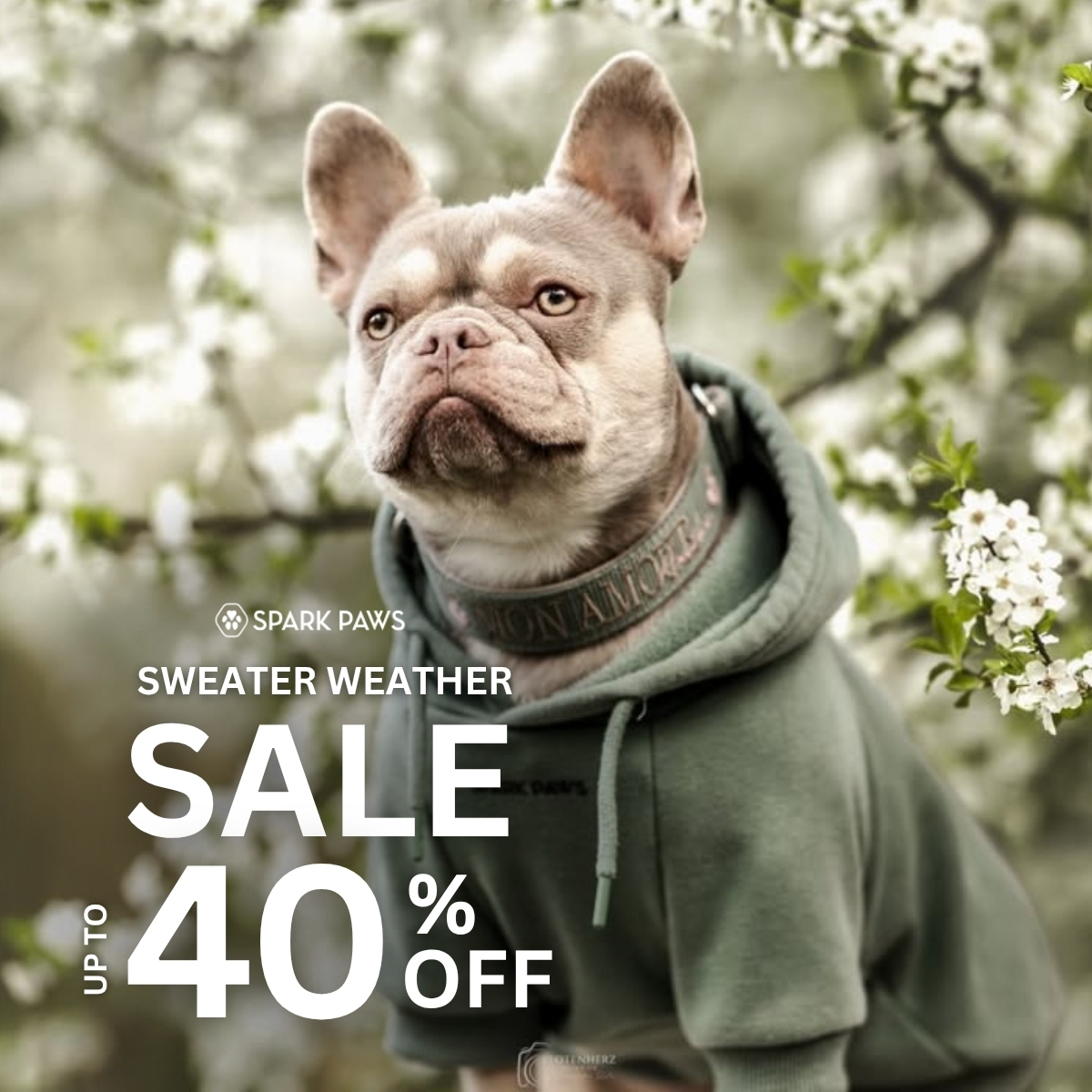 Spark Paws Facebook ad