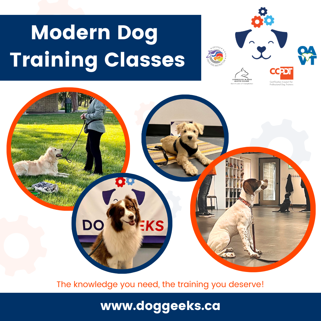 Dog Geeks Facebook ad