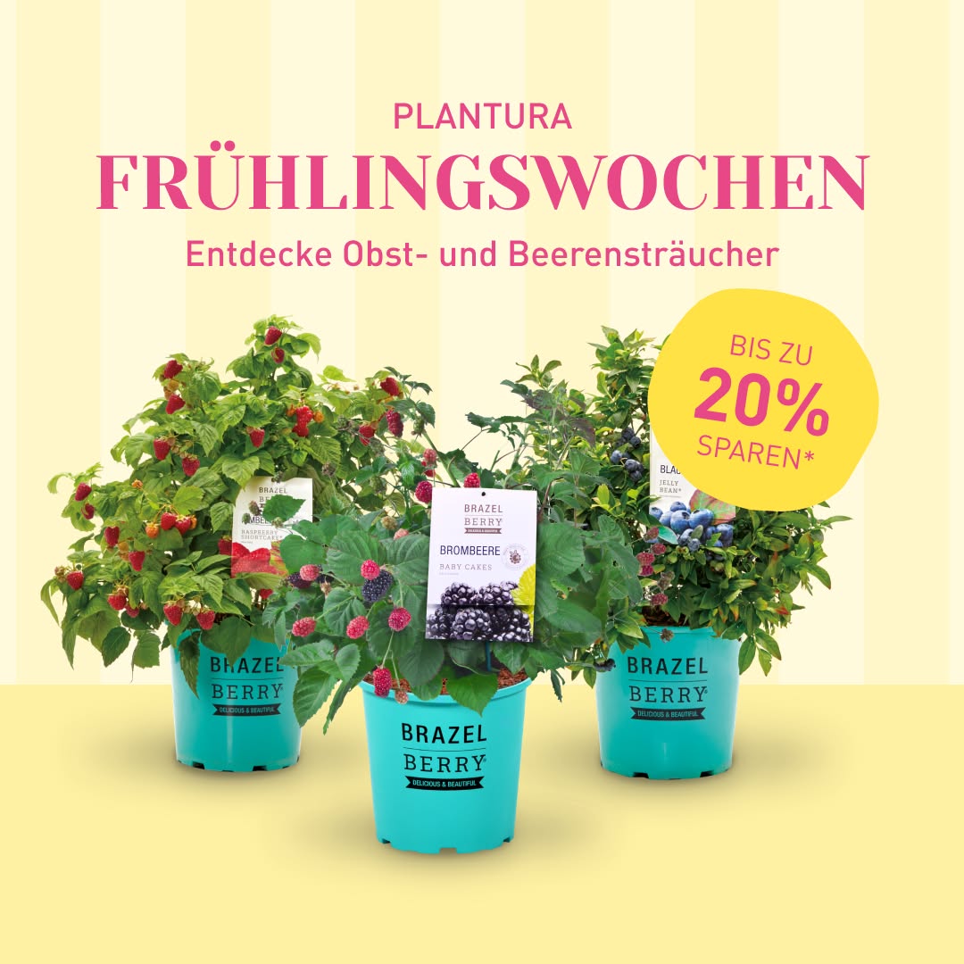 Plantura Facebook ad