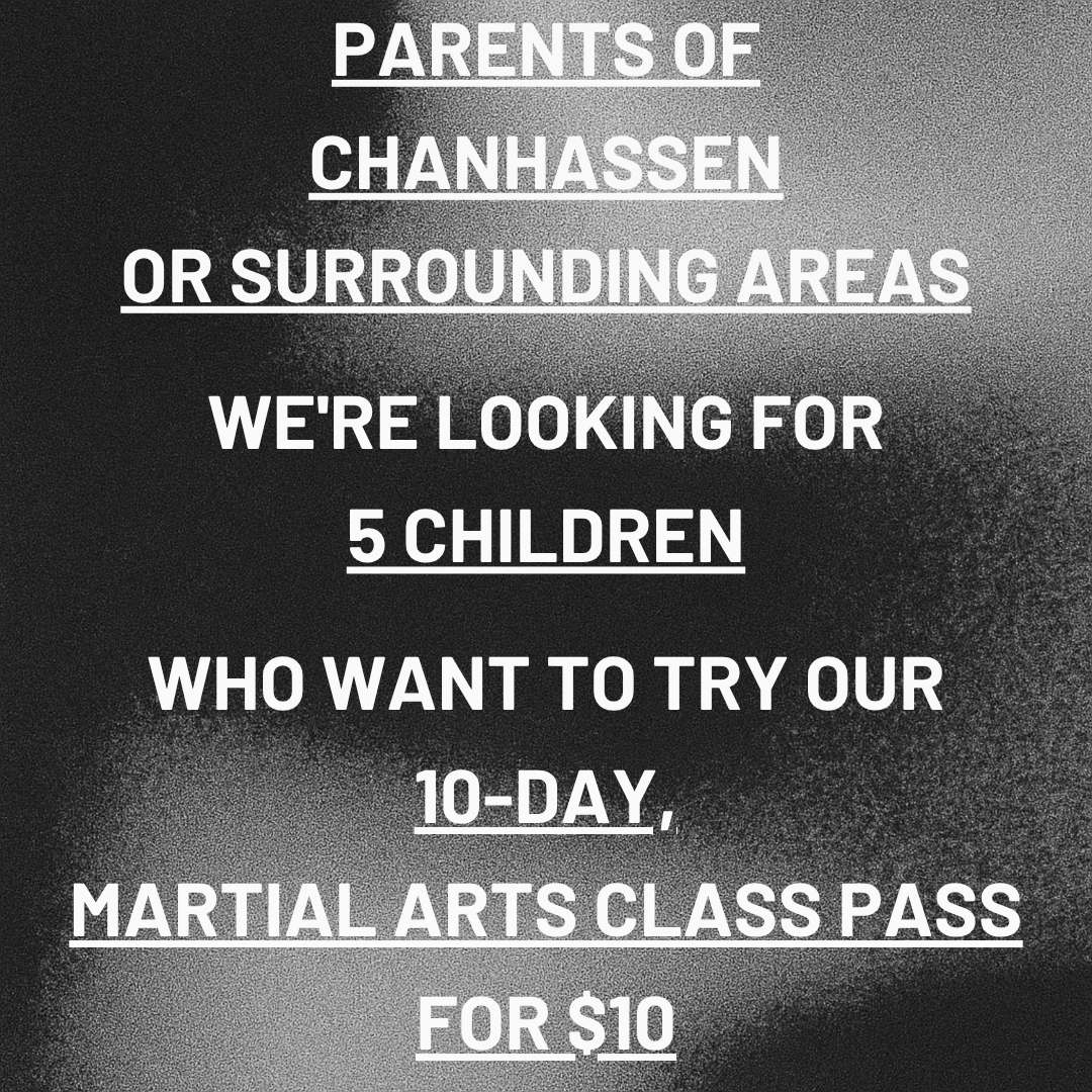 Metro Karate & Jiu Jitsu Academy Facebook ad: Want a 10-Day, Kids Martial Arts Class Pass For $10?