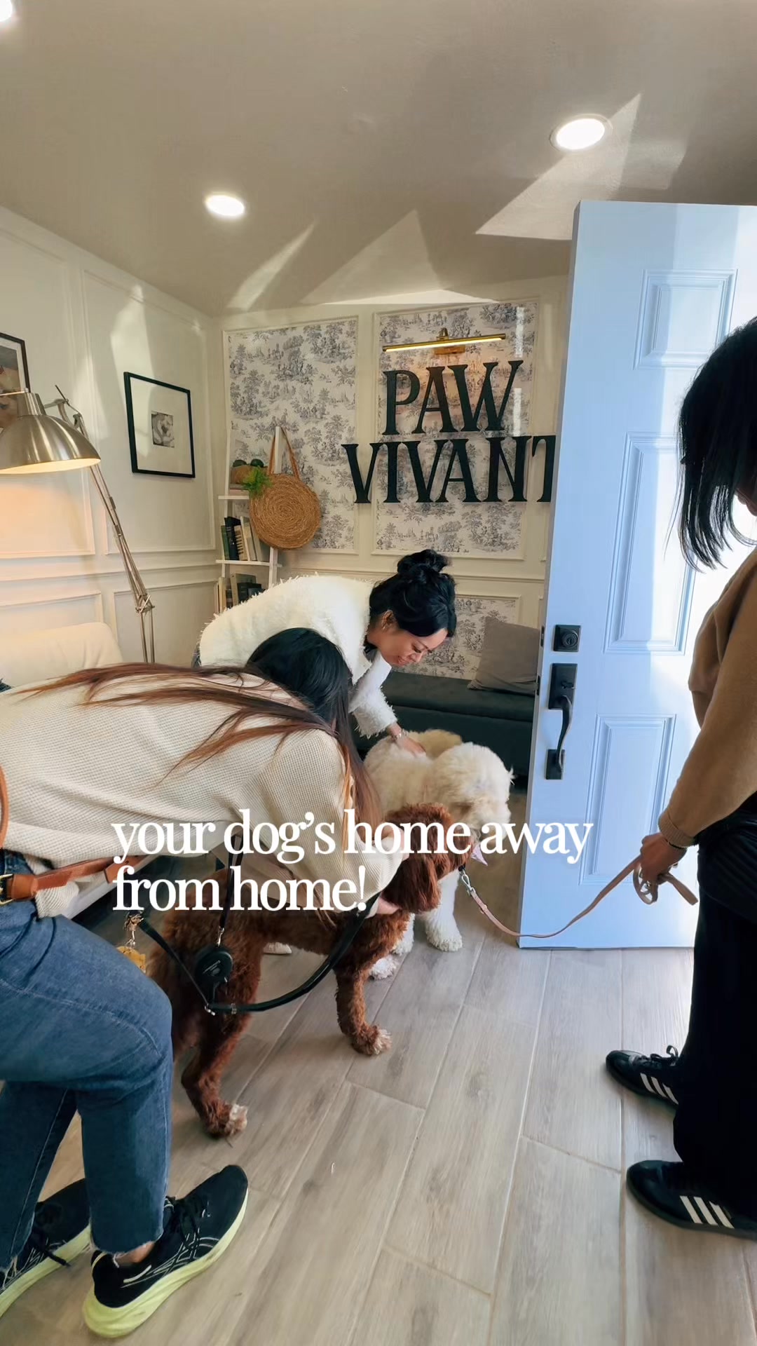 Paw Vivant Facebook ad: Your dog's home away from home