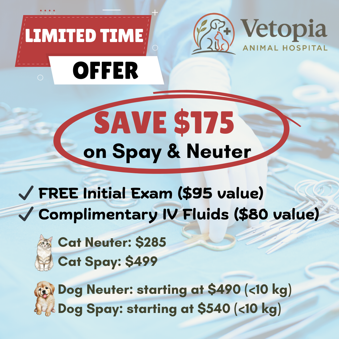 Vetopia Animal Hospital Facebook ad