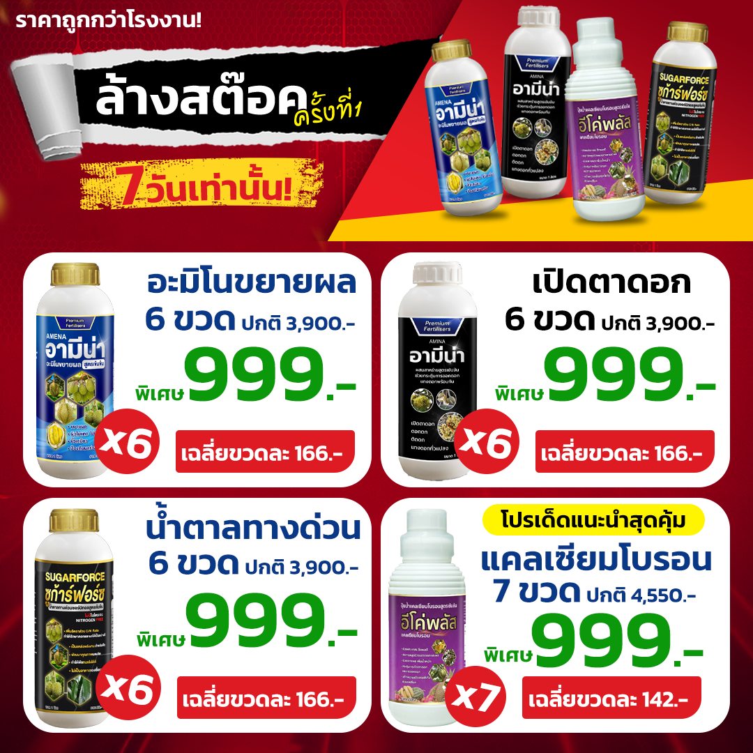 อามีน่า Amina ส่าหร่ายอะมิโน เปิดตาดอกทุเรียนสูตรพรีเมี่ยม มืออาชีพเลือกใช้ Facebook ad