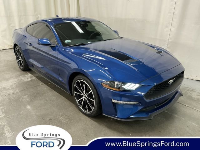 Blue Springs Ford Facebook ad: Blue Springs Ford has been family-owned and operated…
