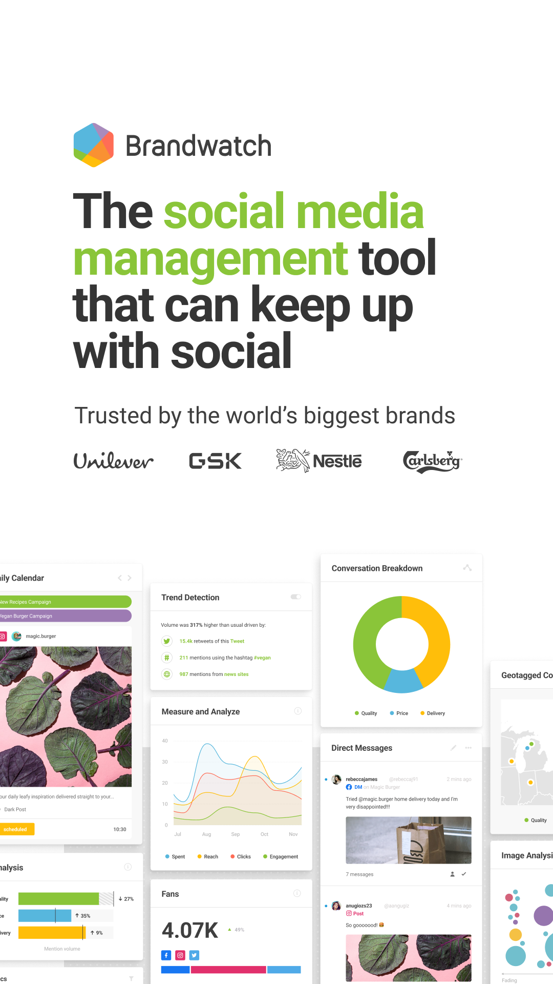 Brandwatch Facebook ad