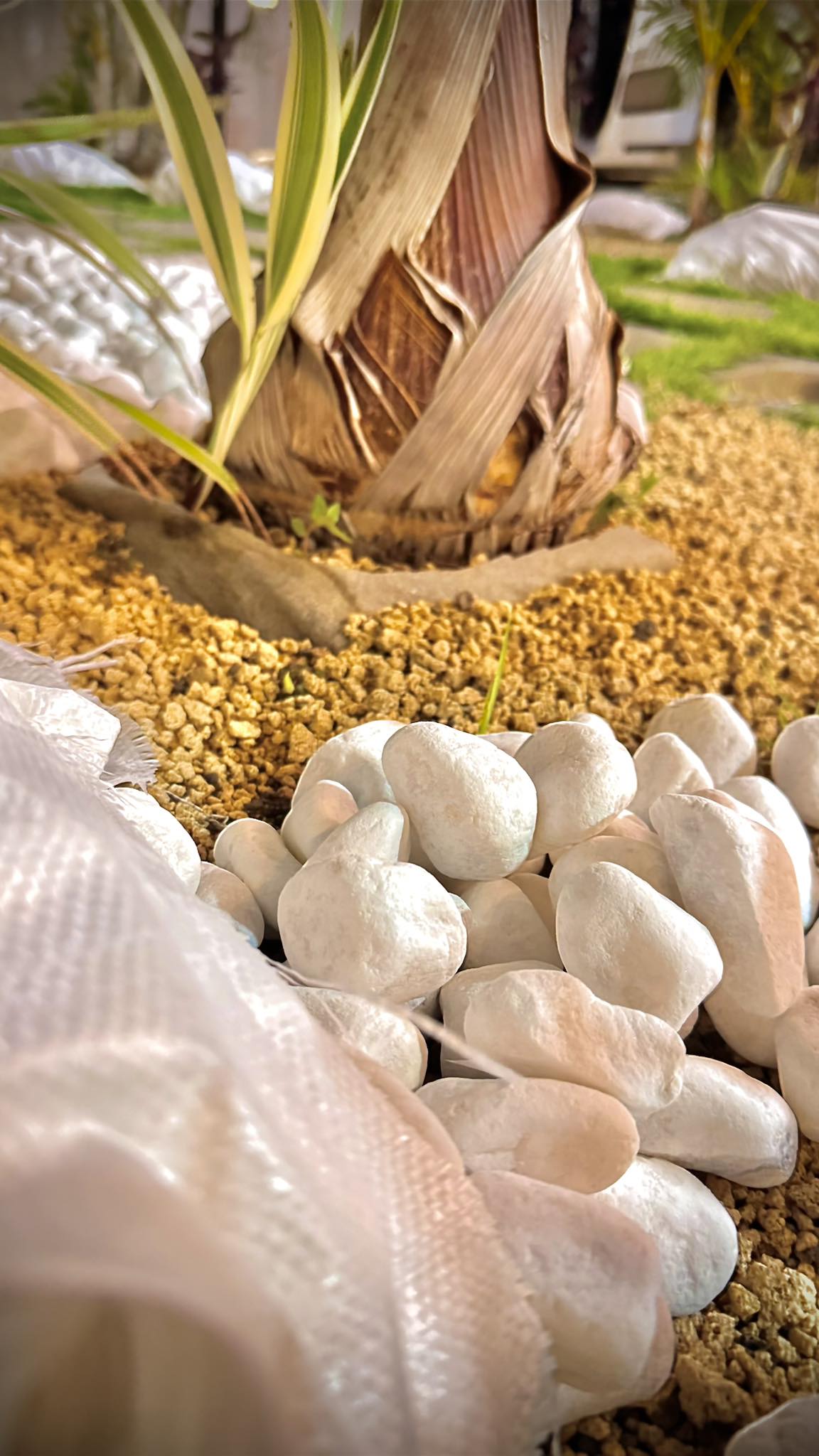 Fazz wholesale bag ltd Facebook ad: Beautify Your Space with Our Premium White Pebbles