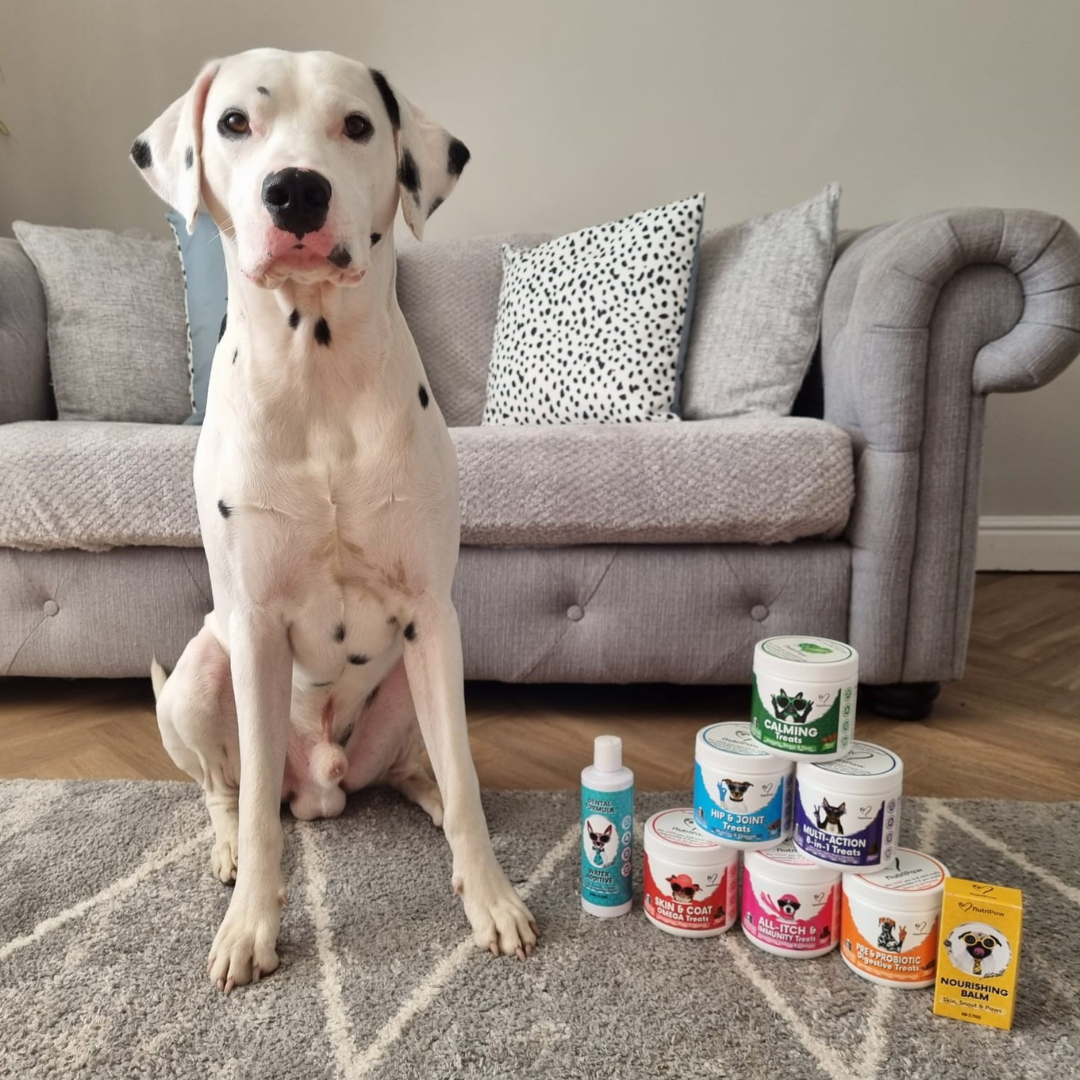 Nutri Paw Facebook ad