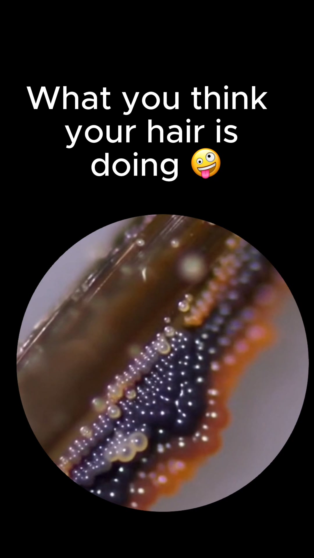 Sarah Tran Facebook ad: Join the 14 Day Haircare Challenge