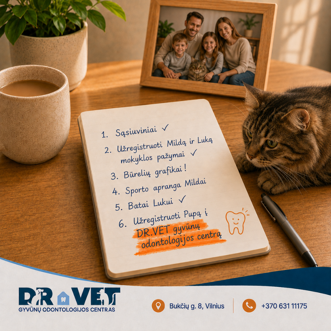 DR.VET Odontologija Facebook ad: Profilaktinė augintinio dantų apžiūra