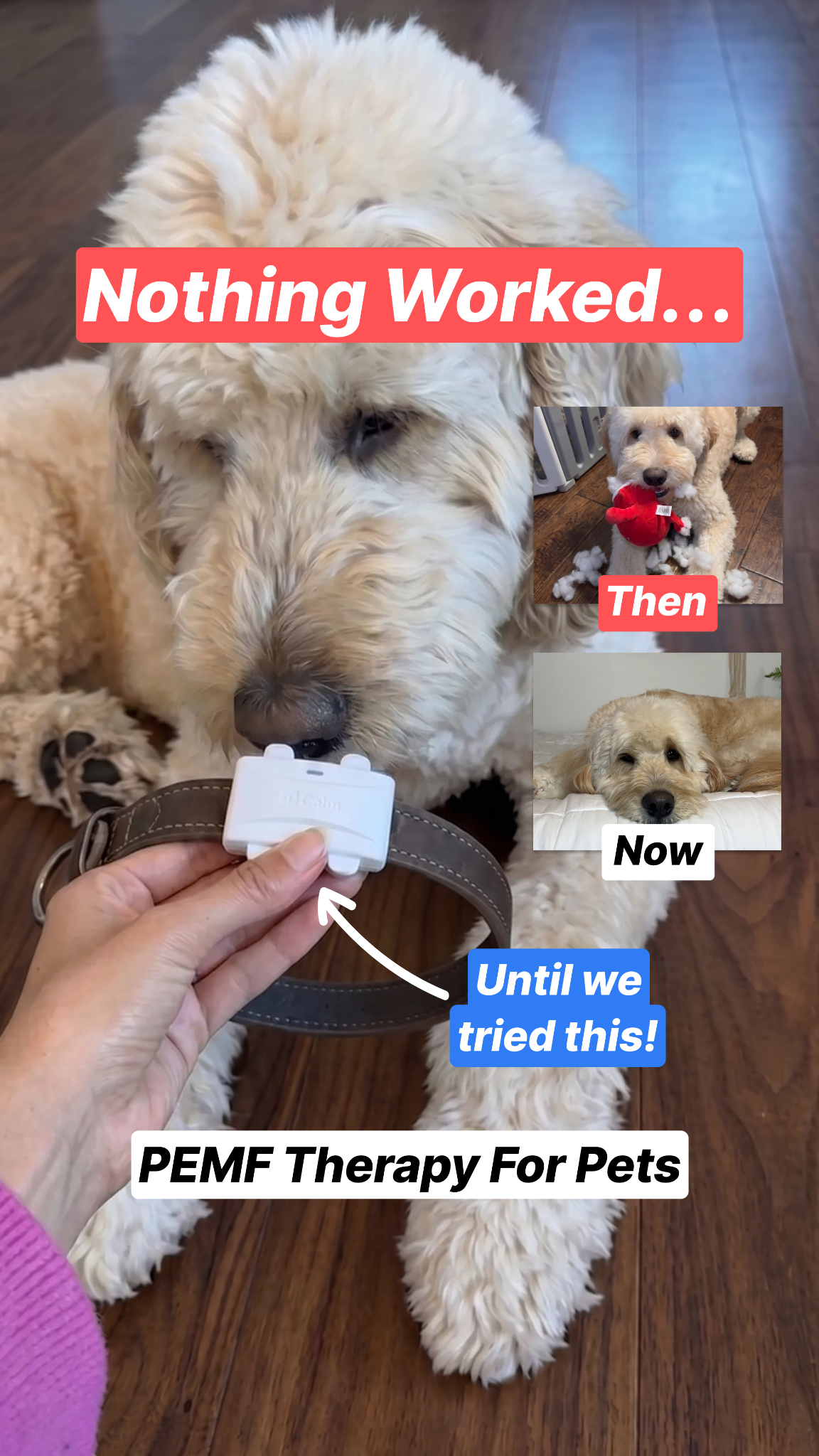 Helio Pet Facebook ad