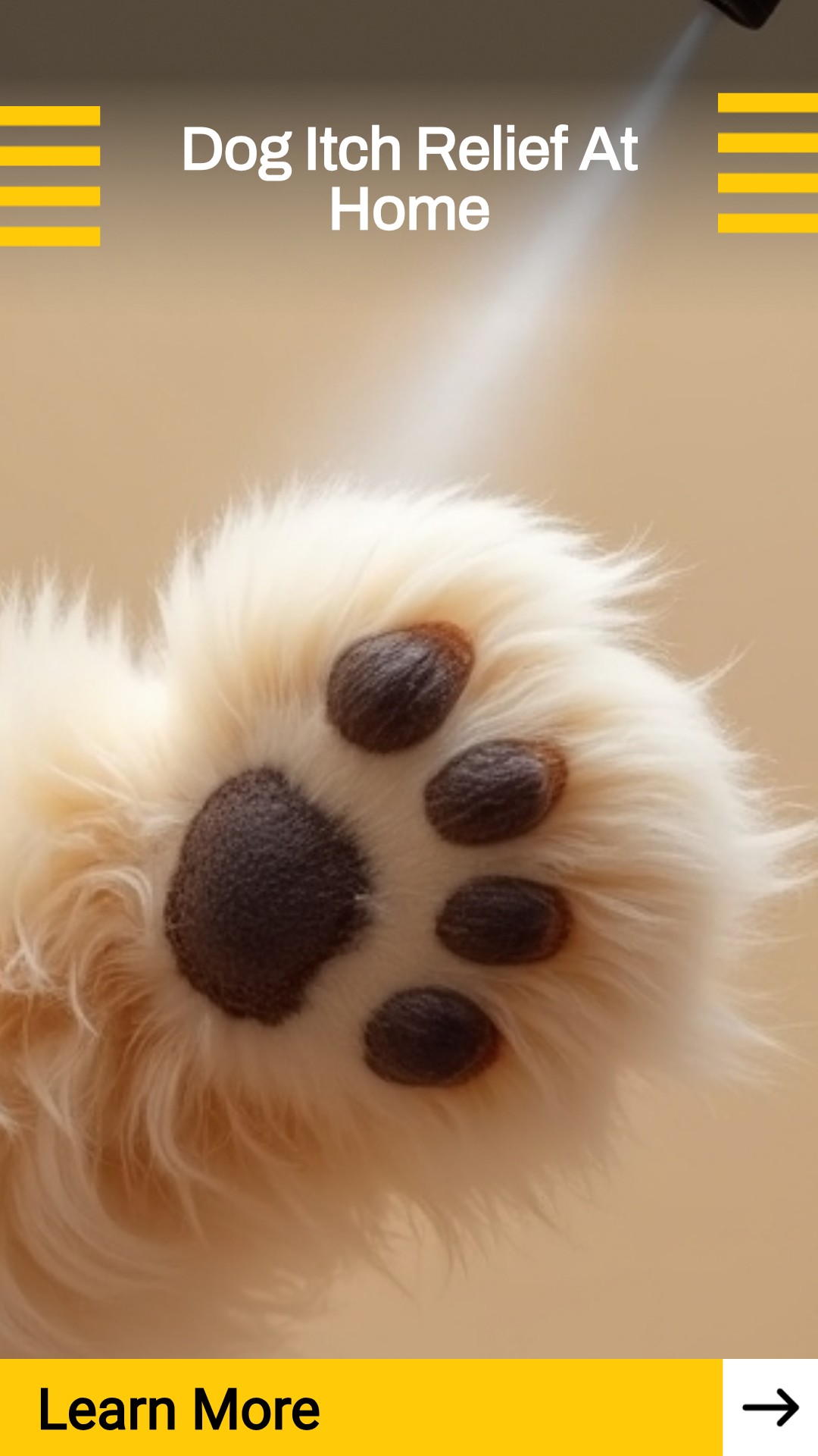 SearchArena Here Facebook ad: Dive Into At-Home Dog Itch Remedy Info.