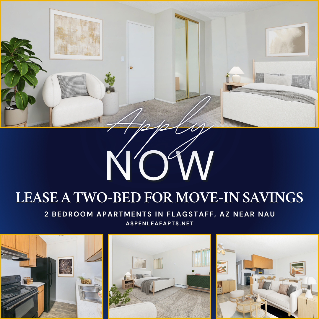 Aspen Leaf Facebook ad from Aug 13, 2026