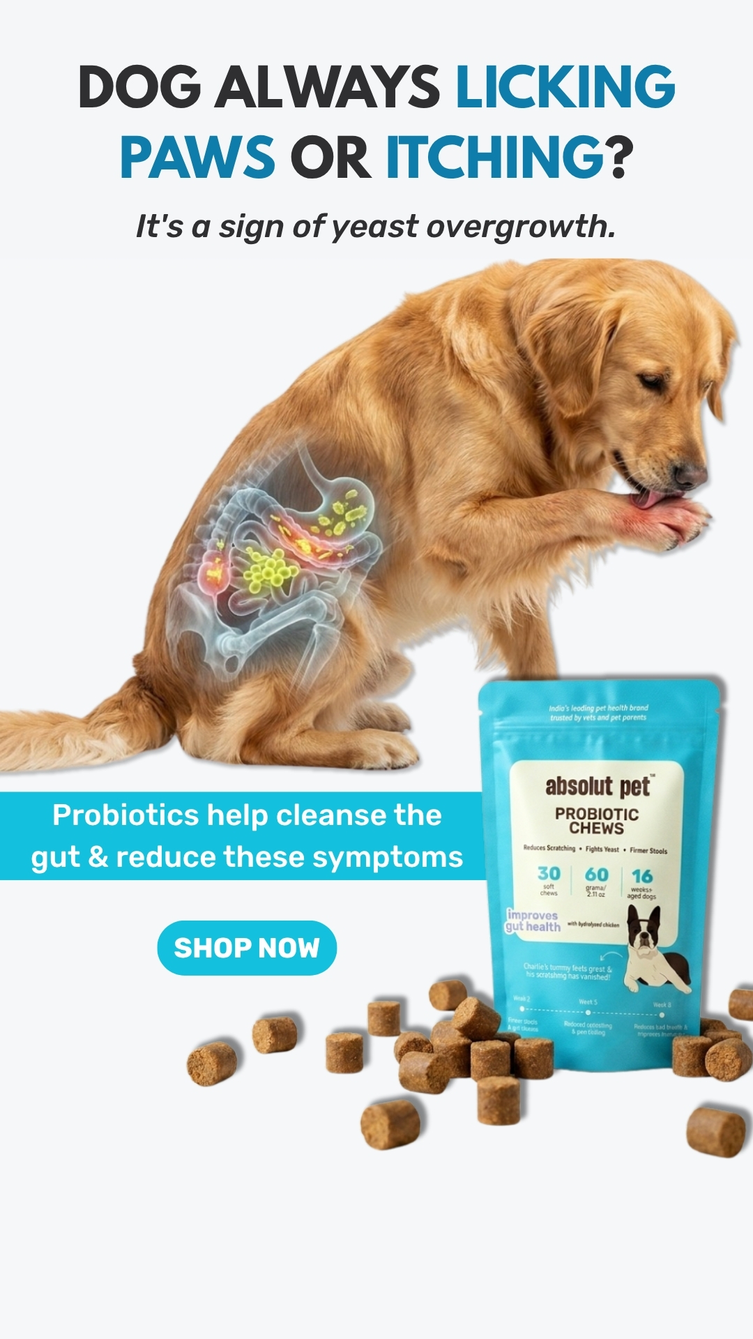 Absolut Pet India Facebook ad