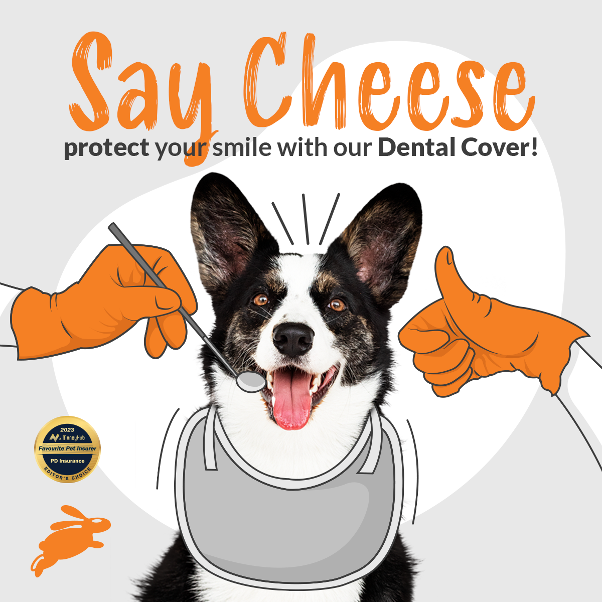 PD Insurance NZ Facebook ad