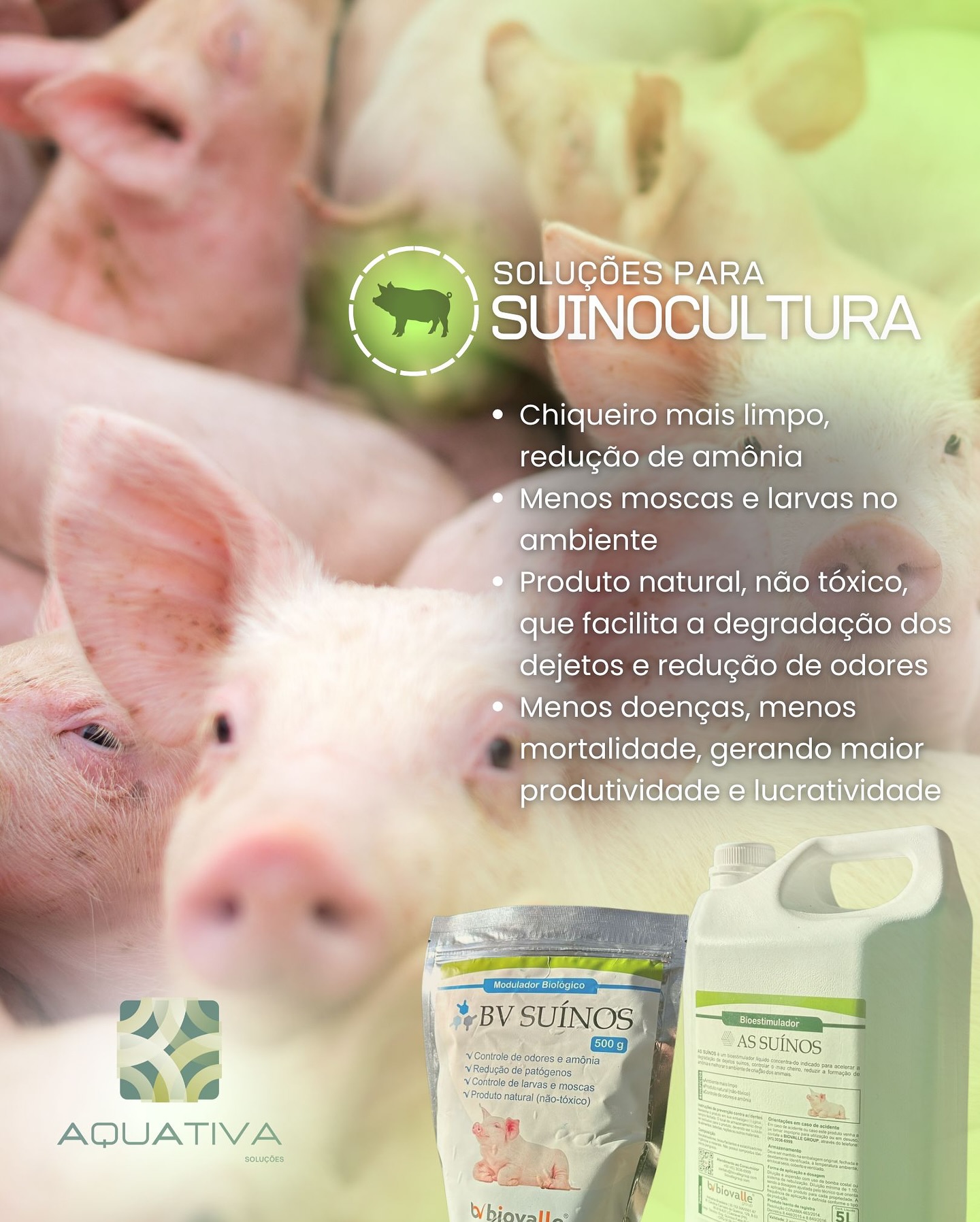 AQUATIVA Facebook ad: Quer transformar os resultados da sua suinocultura de…