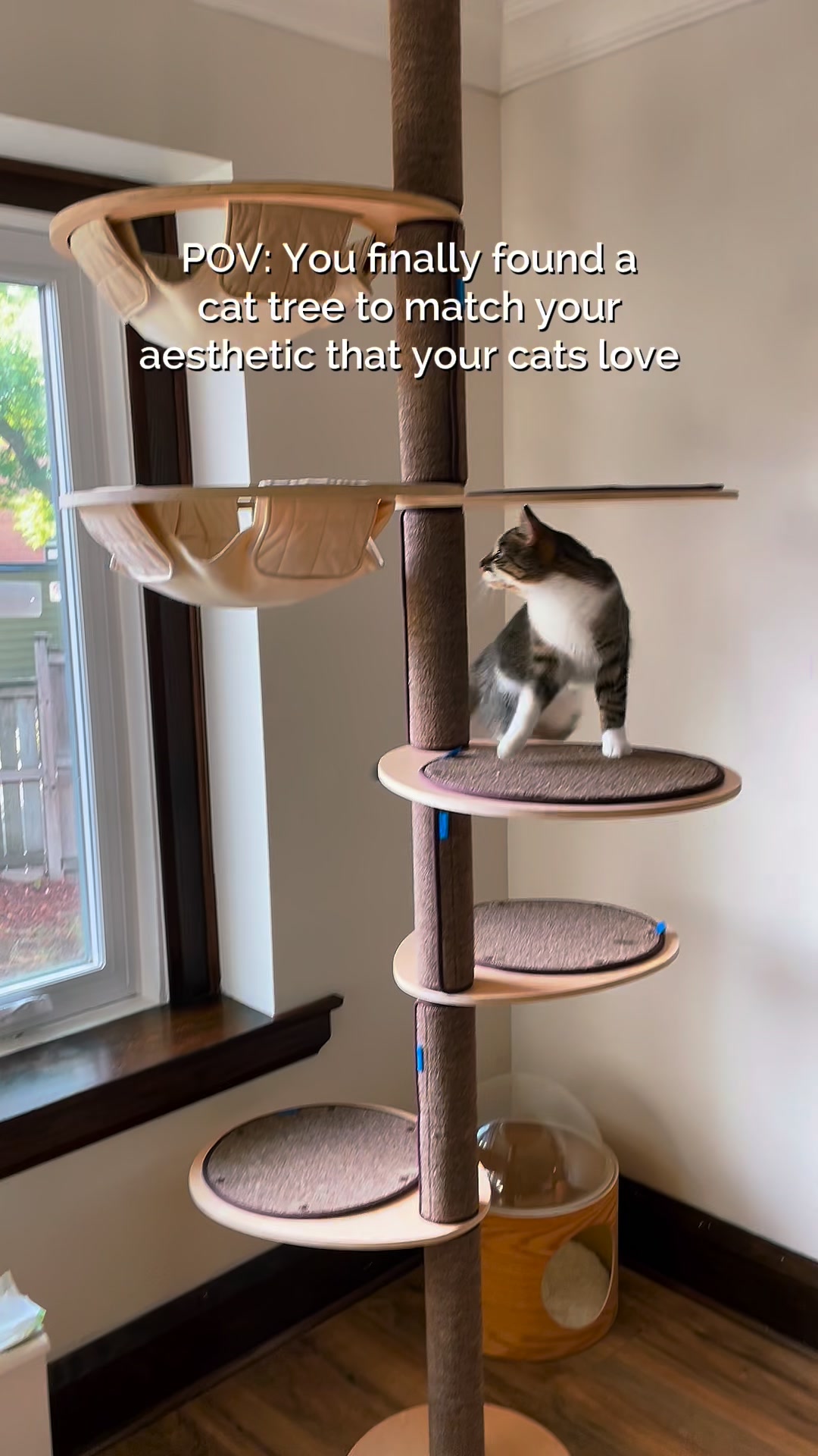 Katpole Cat Furniture Facebook ad: I Spent Years Searching for a Cat Tree That Didn’t Look…