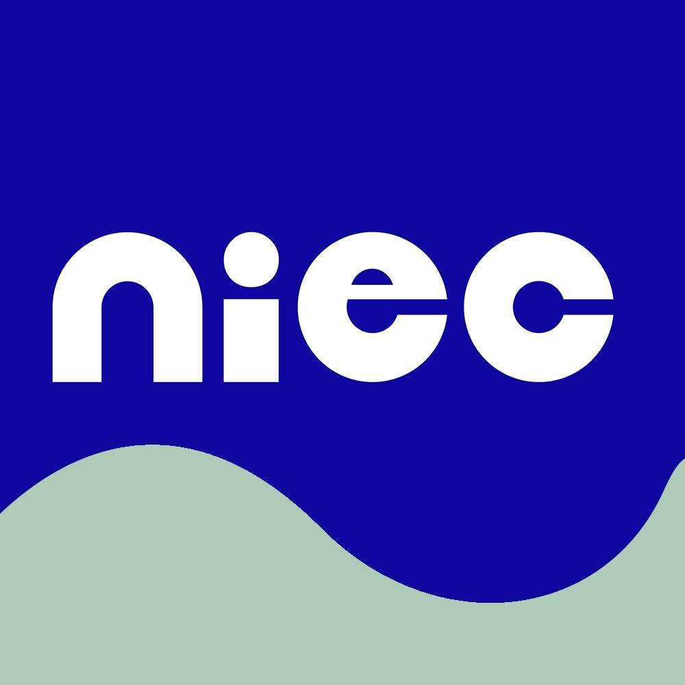 National Institute of Early Childhood Development - NIEC Facebook ad