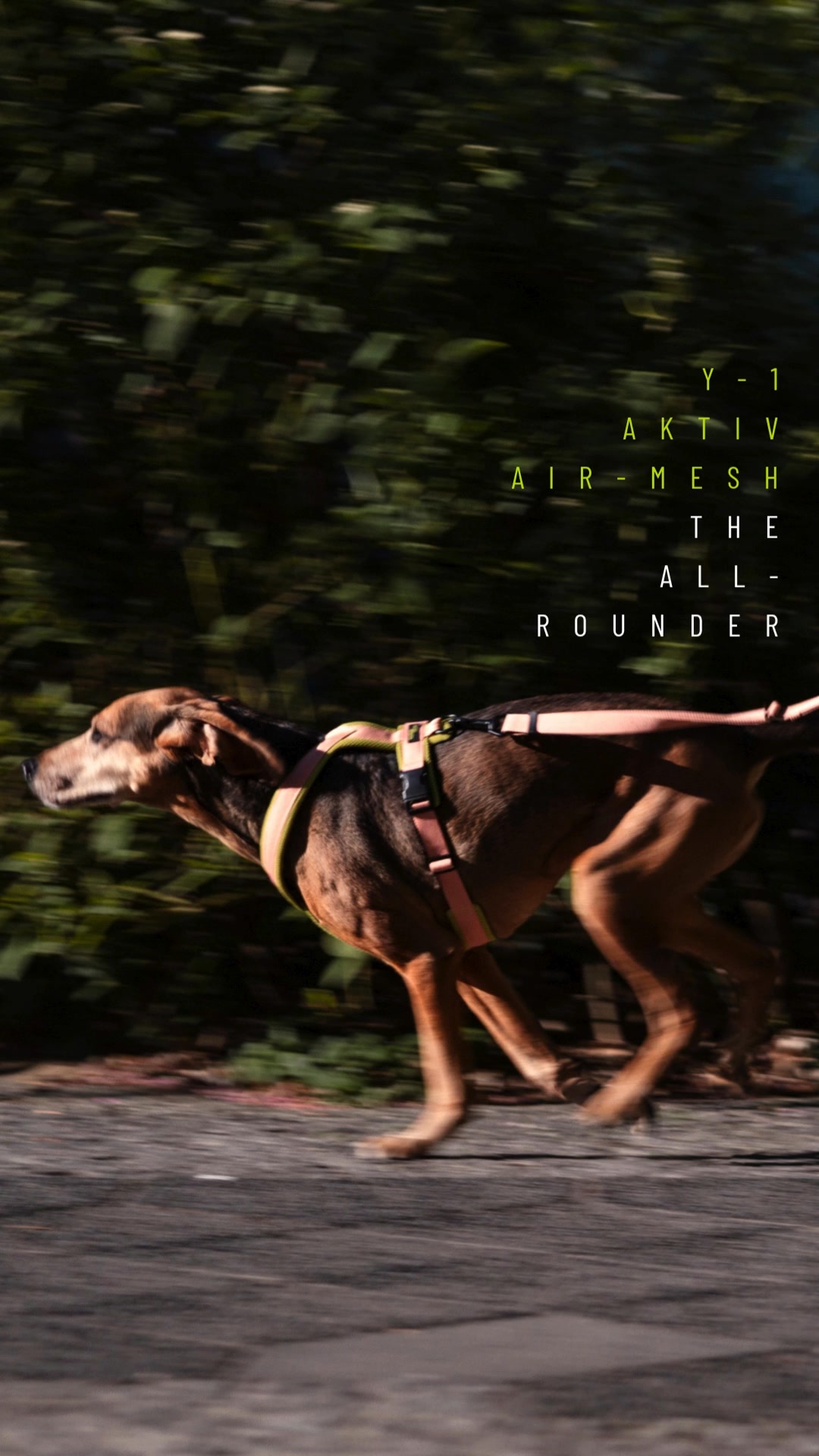 Cloud7 Facebook ad: Y-1 AKTIV AIR MESH, For walks, runs, rides…