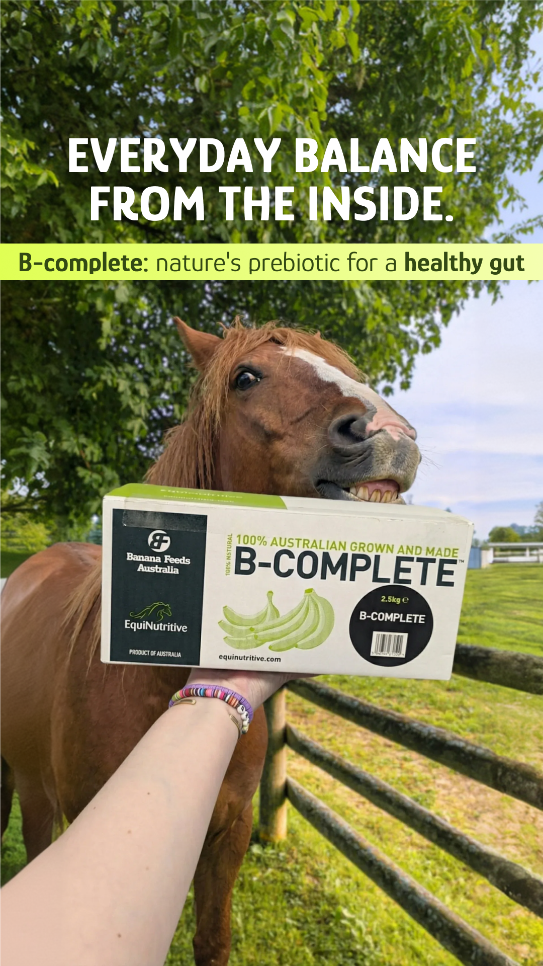 EquiNutritive Facebook ad