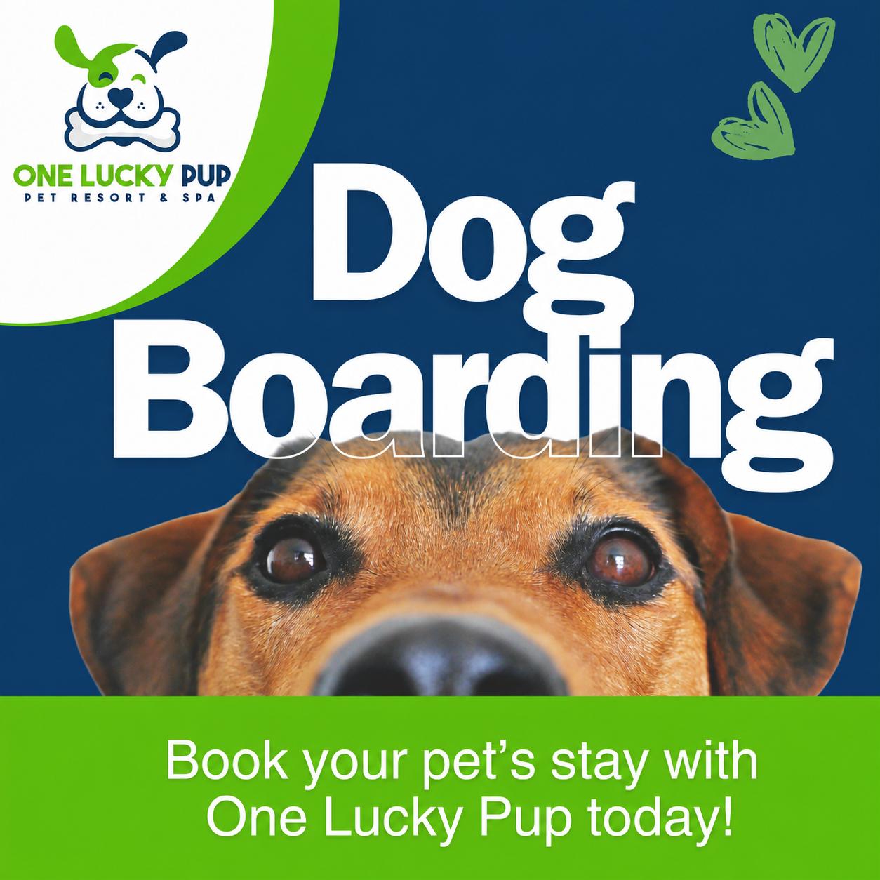 One Lucky Pup Pet Resort & Spa - Northlake Facebook ad: Talk To Us First