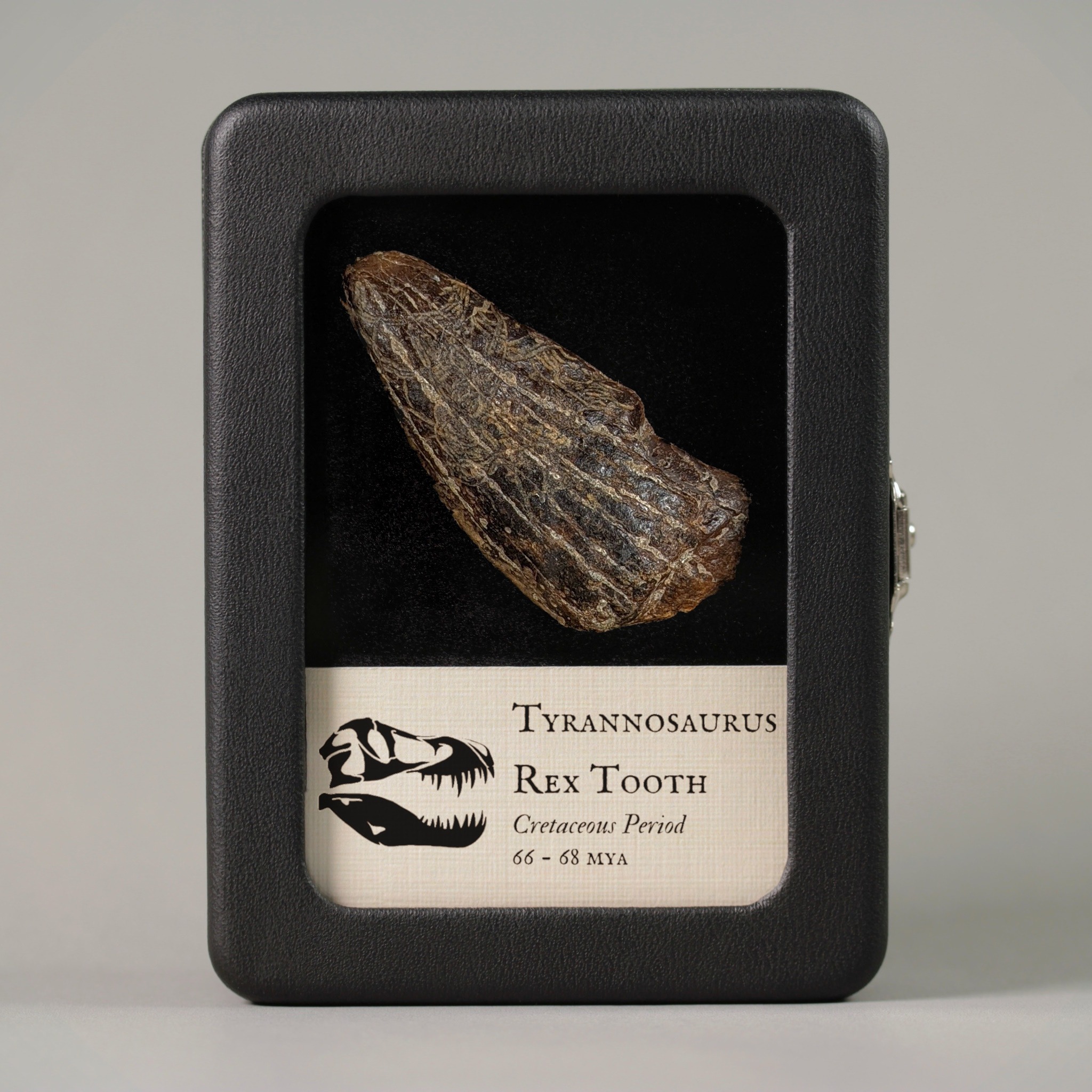 Fossil Hoard Facebook ad: We’re often asked: how is it possible to…