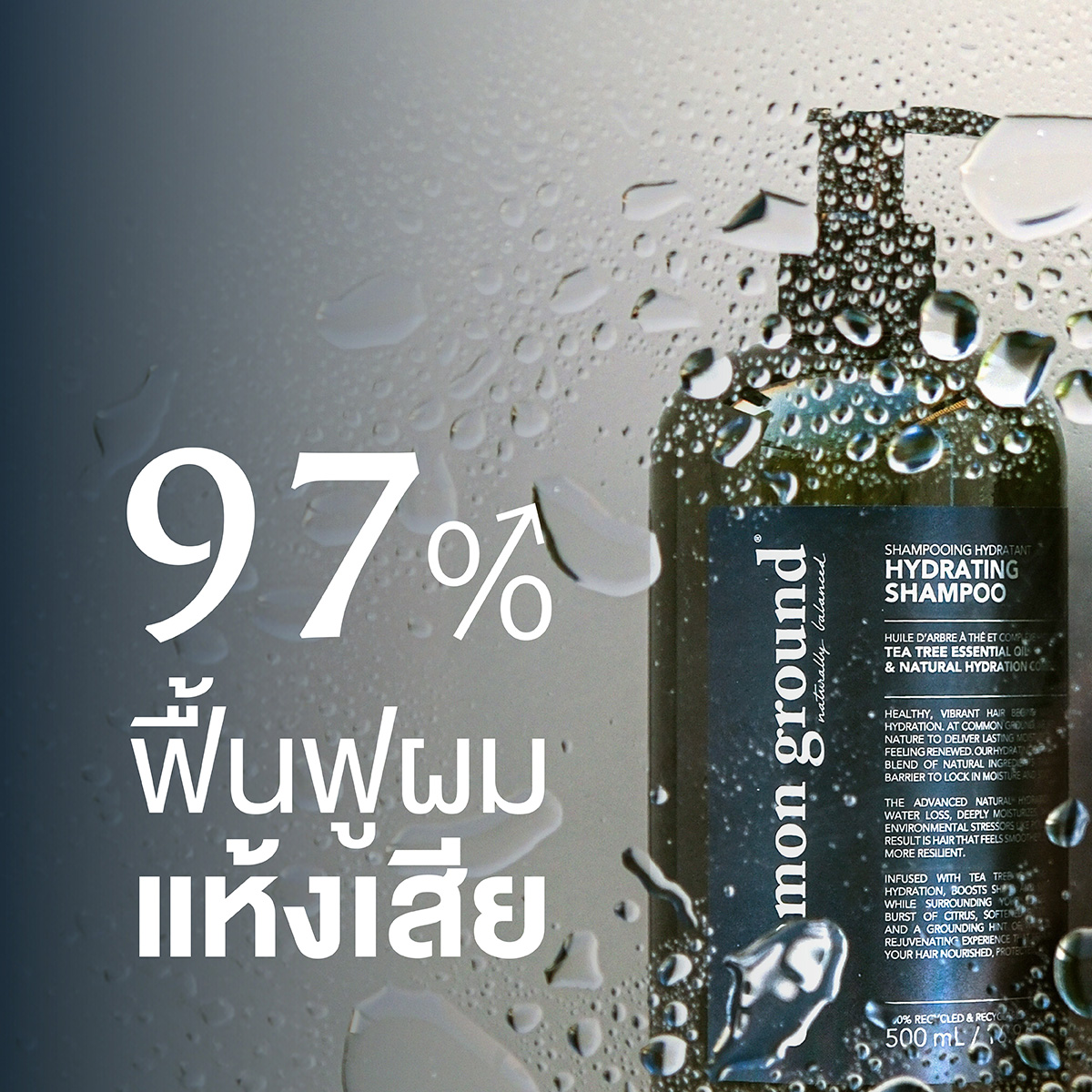 Common Ground Facebook ad: ฟื้นฟูความชุ่มชื้นให้ผมแห้งเสียกว่า 97%*