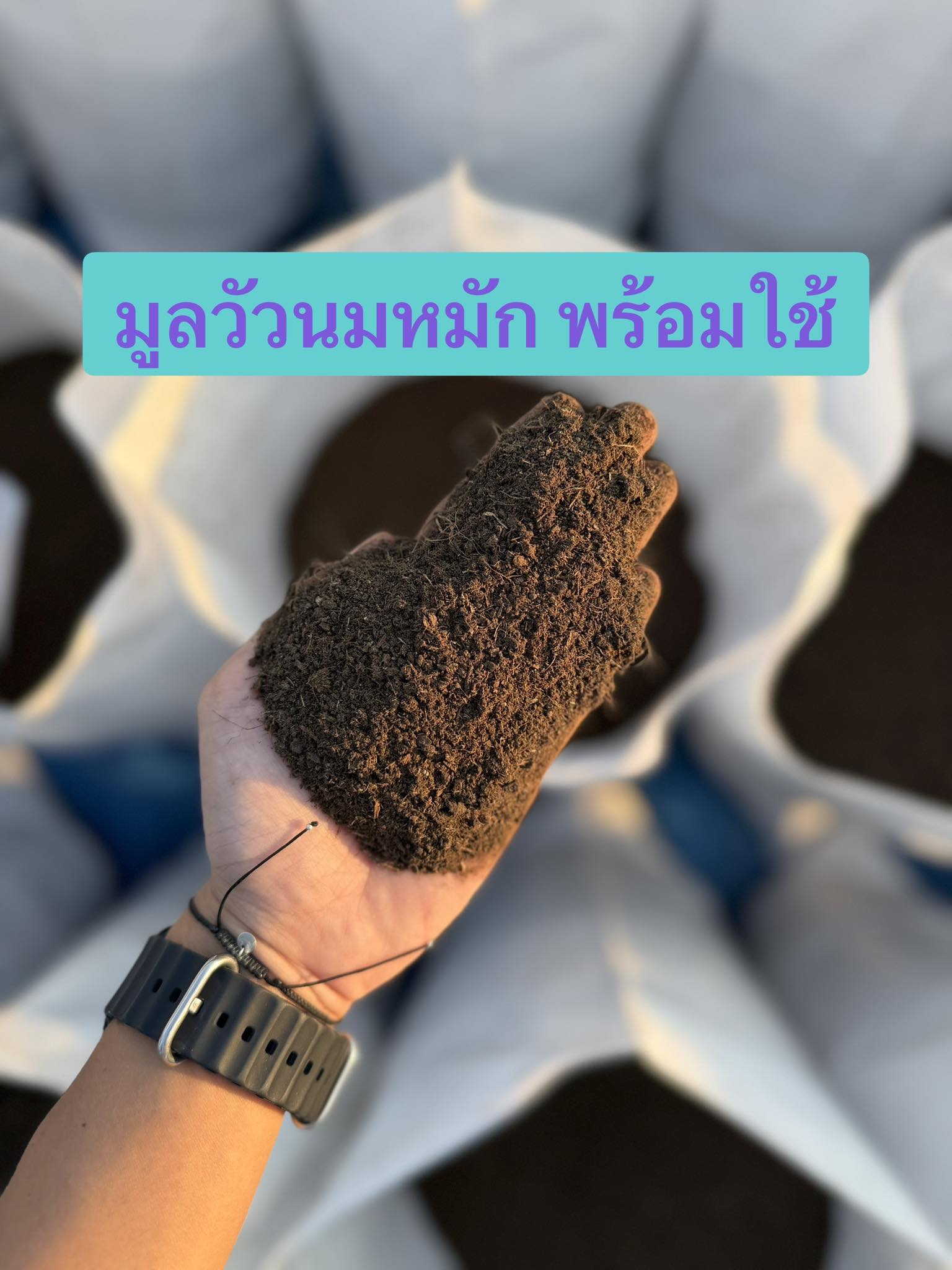นำสุขฟาร์ม มูลไส้เดือนแท้ 100% Facebook ad: ไม่ต้องรอหมักเองให้เสียเวลา! มูลวัวนมหมัก สูตรพร้อมใช้