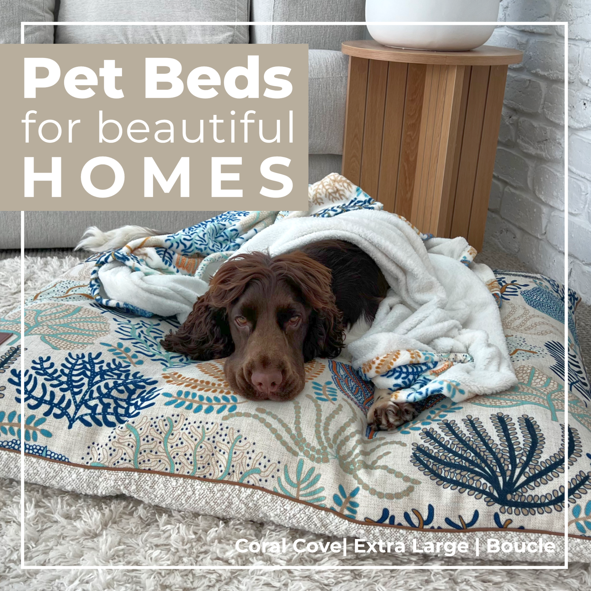 Indie Boho Facebook ad: Designed for real life with pets and homes…
